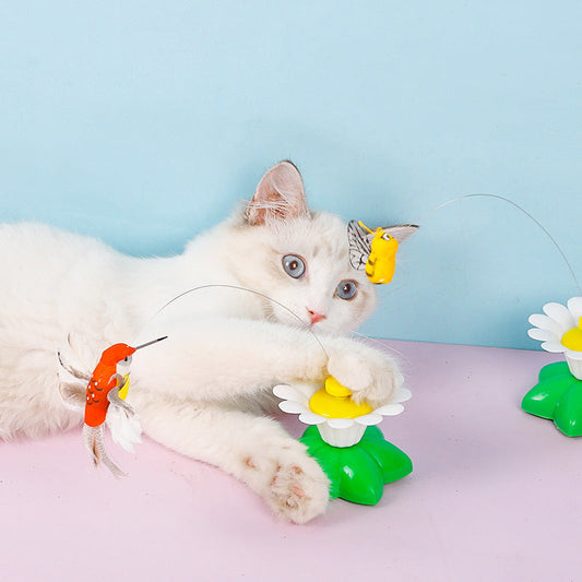 AviPaw - Interactieve Vogelvanger voor Katten