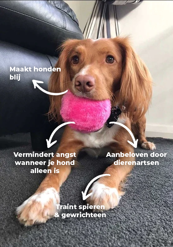 JoyPup™ | Interactieve Anti-stress Bal voor Honden